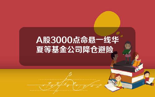 A股3000点命悬一线华夏等基金公司降仓避险