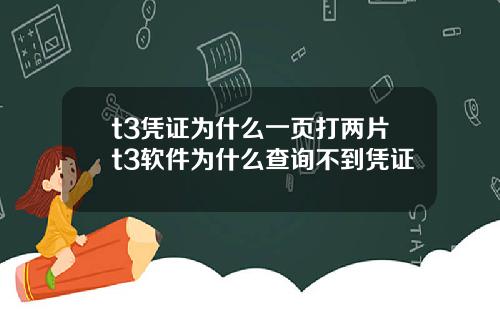 t3凭证为什么一页打两片t3软件为什么查询不到凭证