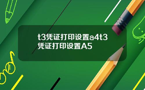 t3凭证打印设置a4t3凭证打印设置A5