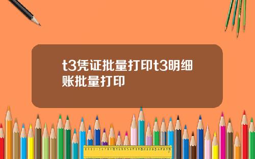 t3凭证批量打印t3明细账批量打印