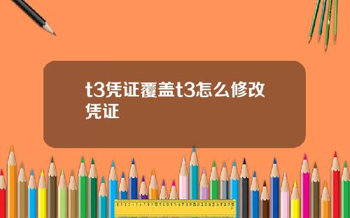 t3凭证覆盖t3怎么修改凭证