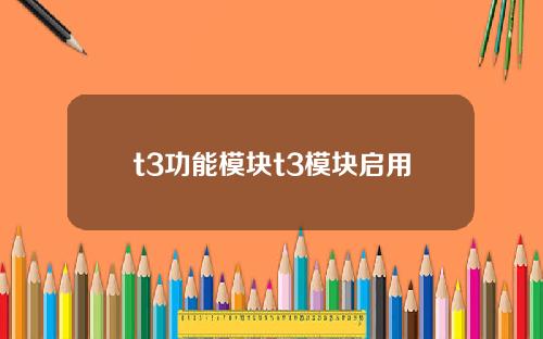 t3功能模块t3模块启用