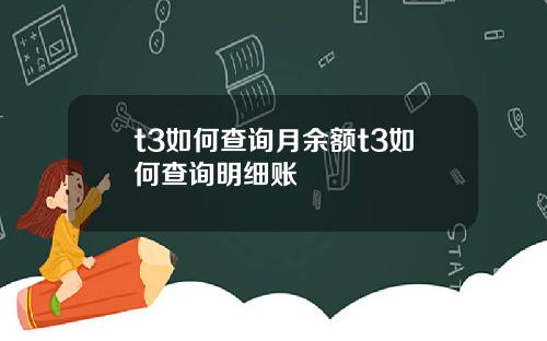 t3如何查询月余额t3如何查询明细账