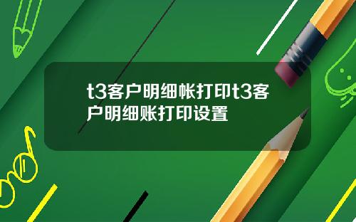 t3客户明细帐打印t3客户明细账打印设置