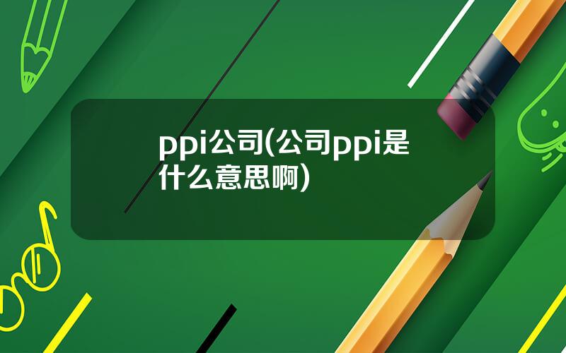 ppi公司(公司ppi是什么意思啊)