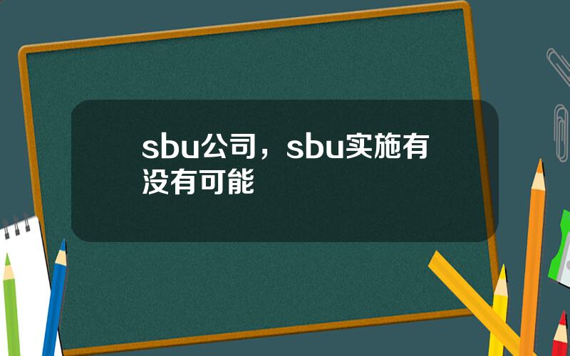 sbu公司，sbu实施有没有可能