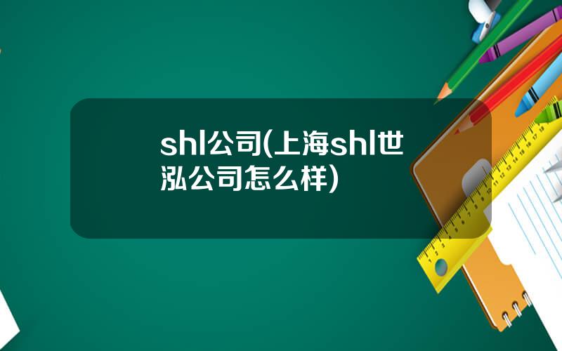 shl公司(上海shl世泓公司怎么样)