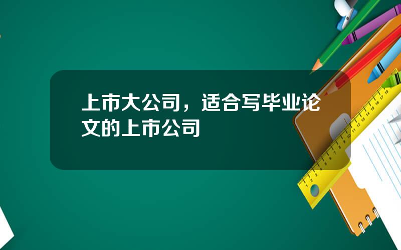 上市大公司，适合写毕业论文的上市公司