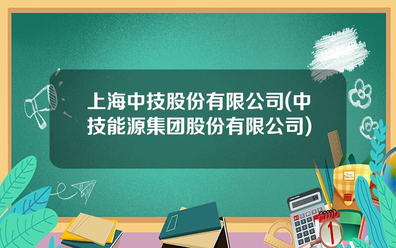 上海中技股份有限公司(中技能源集团股份有限公司)