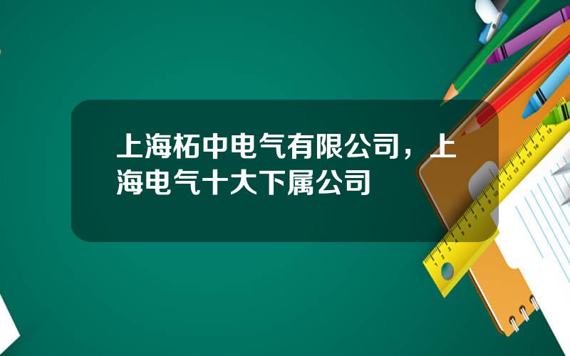 上海柘中电气有限公司，上海电气十大下属公司