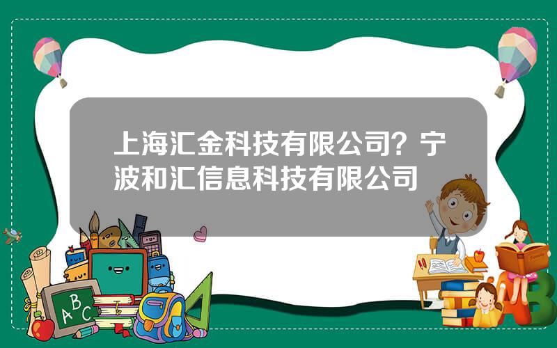 上海汇金科技有限公司？宁波和汇信息科技有限公司