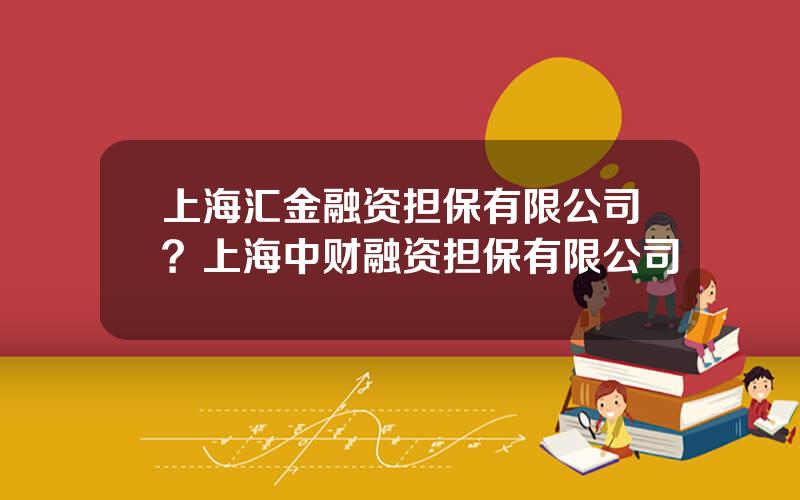 上海汇金融资担保有限公司？上海中财融资担保有限公司