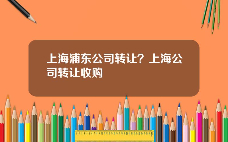 上海浦东公司转让？上海公司转让收购