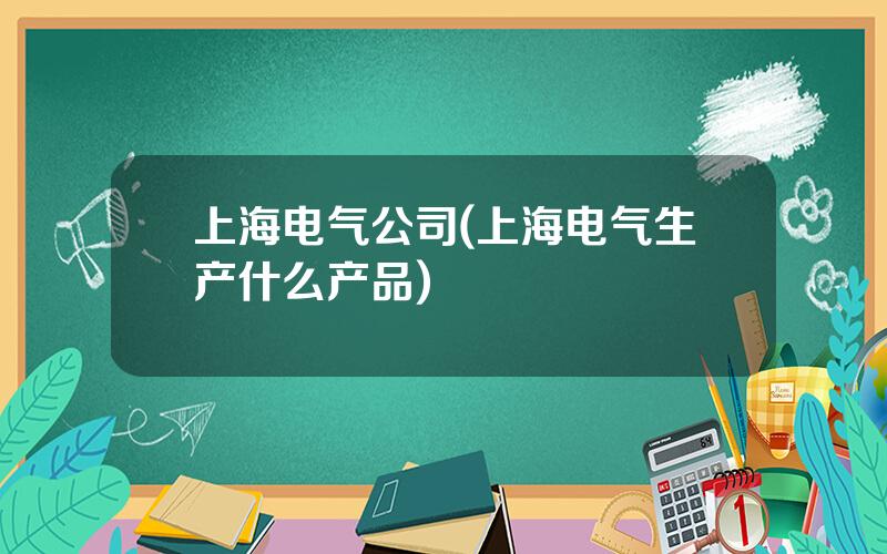 上海电气公司(上海电气生产什么产品)