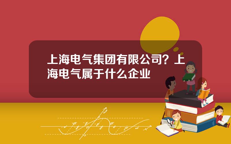 上海电气集团有限公司？上海电气属于什么企业