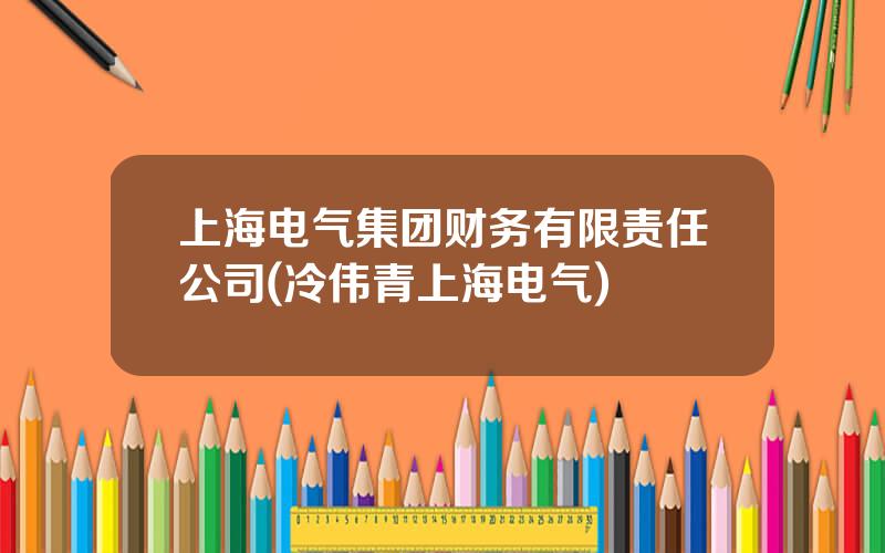 上海电气集团财务有限责任公司(冷伟青上海电气)