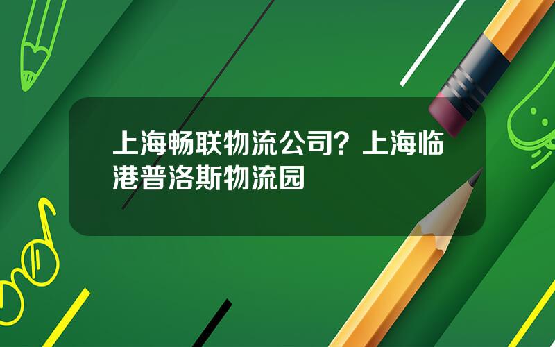 上海畅联物流公司？上海临港普洛斯物流园