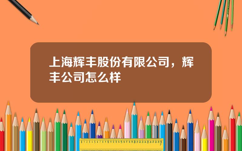 上海辉丰股份有限公司，辉丰公司怎么样