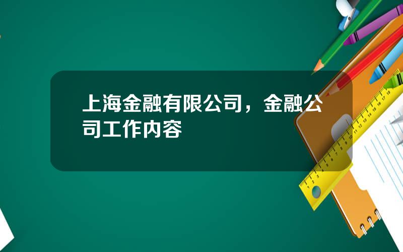 上海金融有限公司，金融公司工作内容