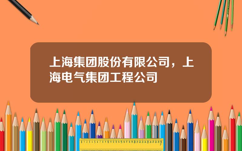 上海集团股份有限公司，上海电气集团工程公司