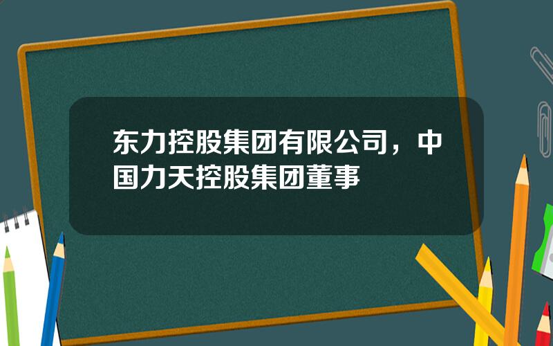 东力控股集团有限公司，中国力天控股集团董事