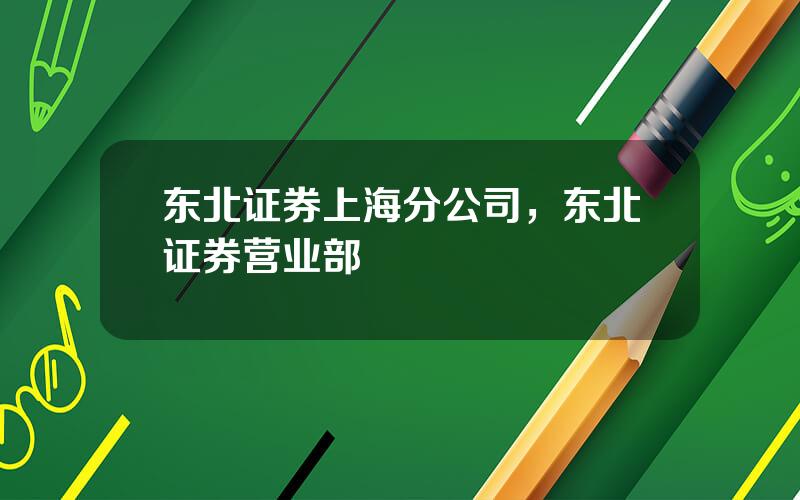 东北证券上海分公司，东北证券营业部