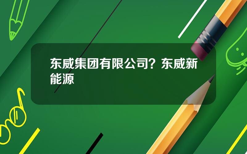 东威集团有限公司？东威新能源