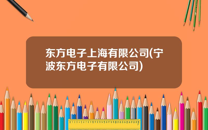 东方电子上海有限公司(宁波东方电子有限公司)