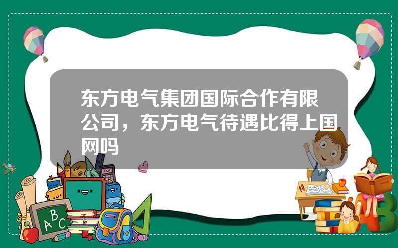 东方电气集团国际合作有限公司，东方电气待遇比得上国网吗