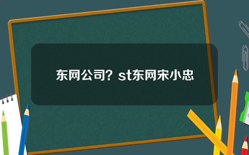 东网公司？st东网宋小忠