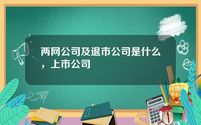 两网公司及退市公司是什么，上市公司