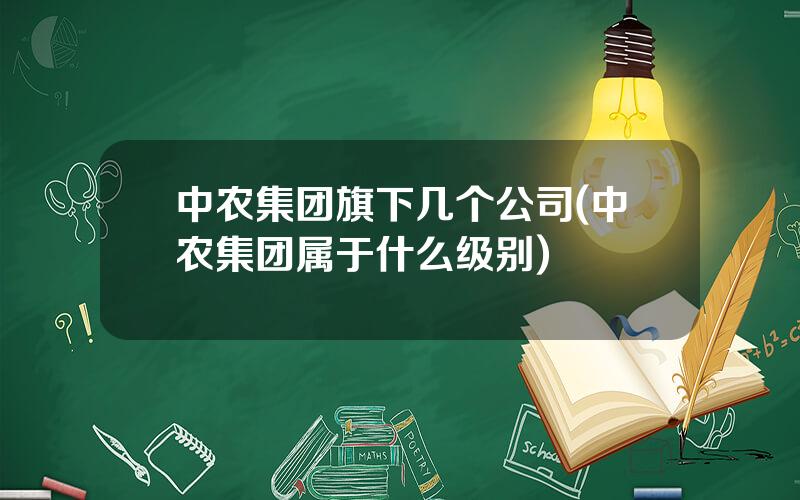 中农集团旗下几个公司(中农集团属于什么级别)