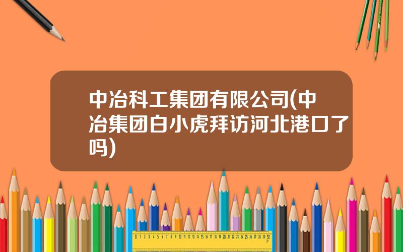 中冶科工集团有限公司(中冶集团白小虎拜访河北港口了吗)