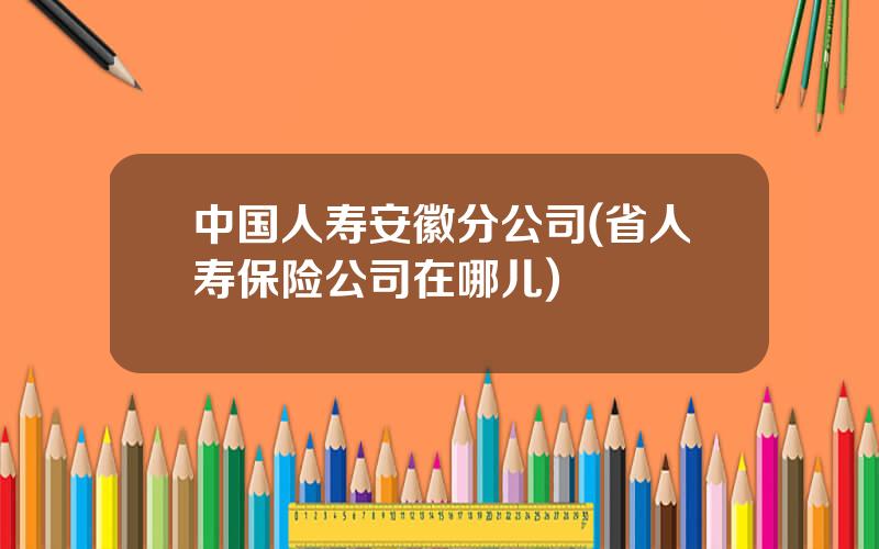 中国人寿安徽分公司(省人寿保险公司在哪儿)