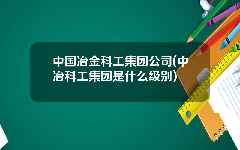 中国冶金科工集团公司(中冶科工集团是什么级别)