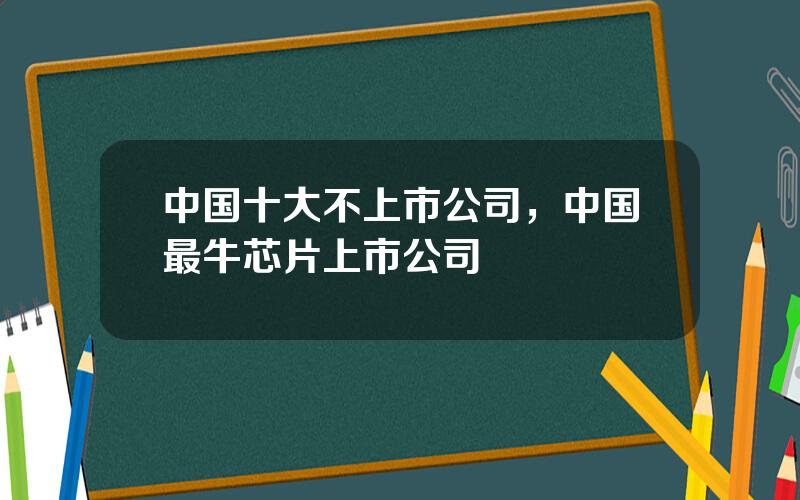 中国十大不上市公司，中国最牛芯片上市公司