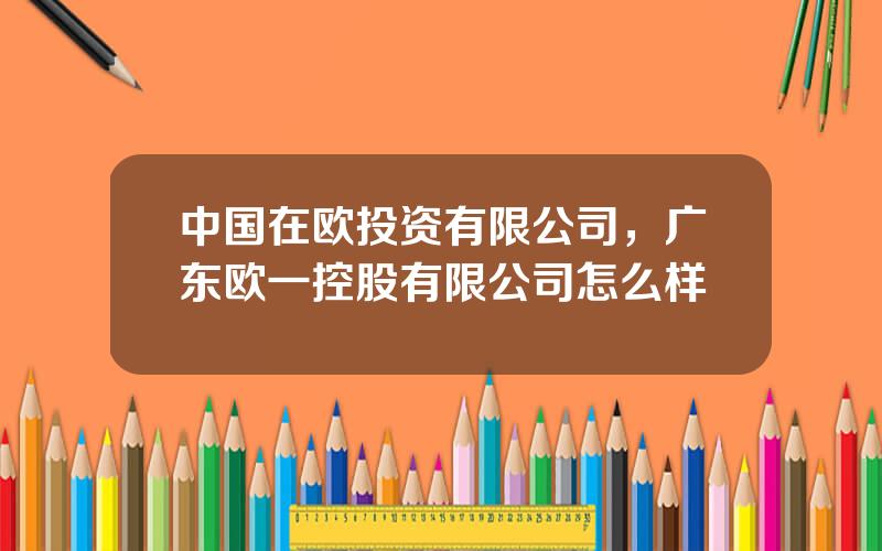 中国在欧投资有限公司，广东欧一控股有限公司怎么样