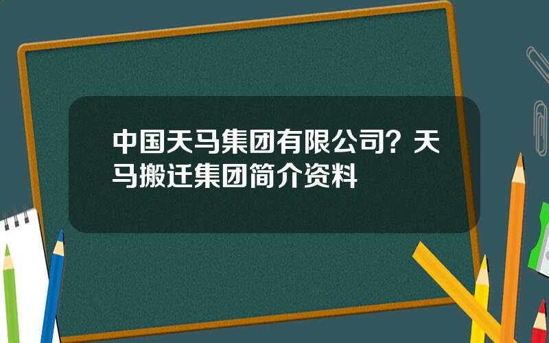 中国天马集团有限公司？天马搬迁集团简介资料