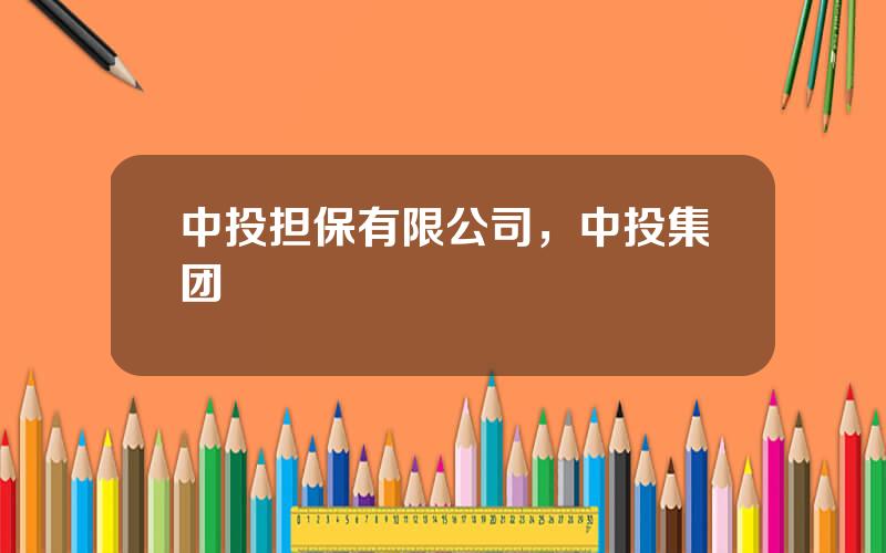 中投担保有限公司，中投集团