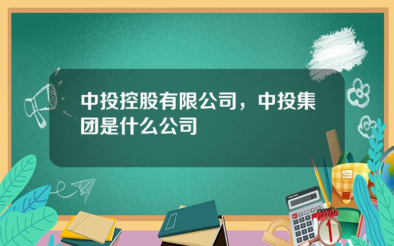 中投控股有限公司，中投集团是什么公司