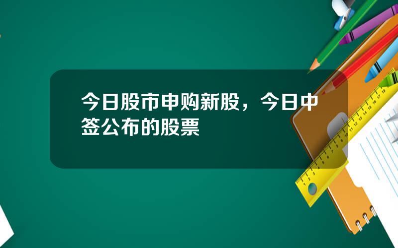 今日股市申购新股，今日中签公布的股票