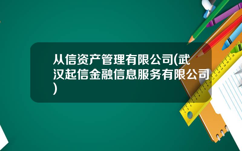 从信资产管理有限公司(武汉起信金融信息服务有限公司)