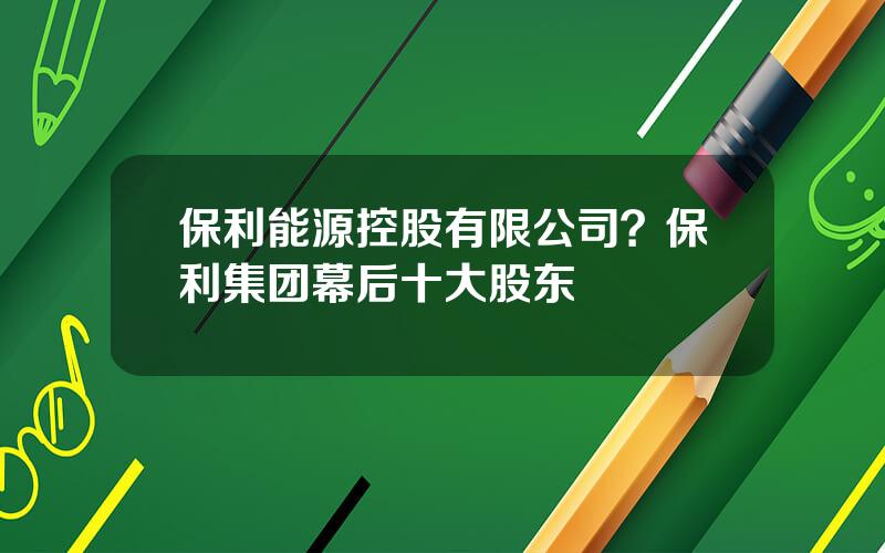 保利能源控股有限公司？保利集团幕后十大股东