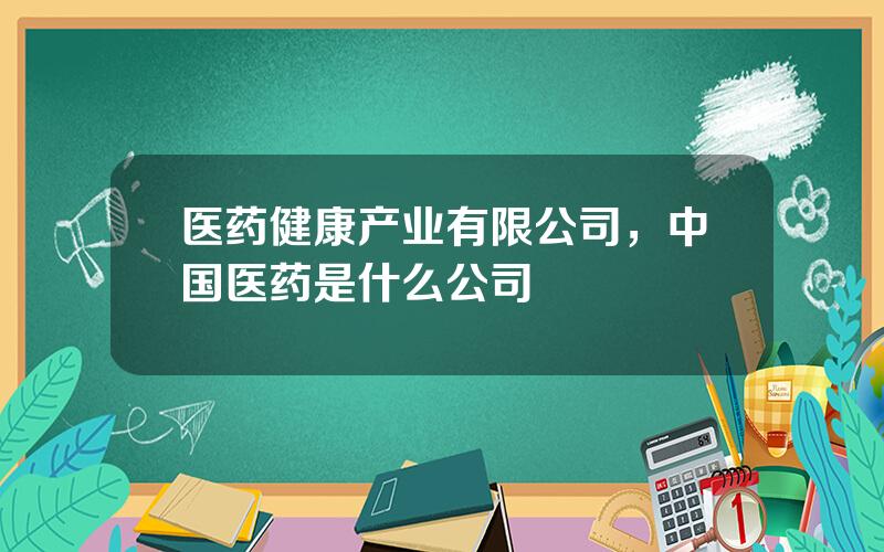 医药健康产业有限公司，中国医药是什么公司