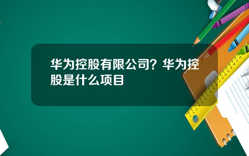 华为控股有限公司？华为控股是什么项目