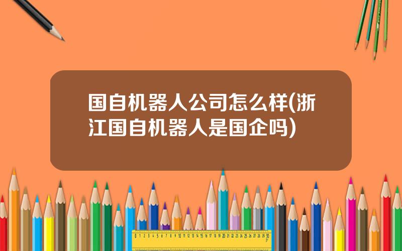 国自机器人公司怎么样(浙江国自机器人是国企吗)