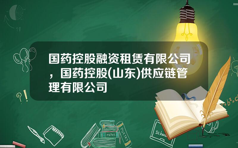 国药控股融资租赁有限公司，国药控股(山东)供应链管理有限公司