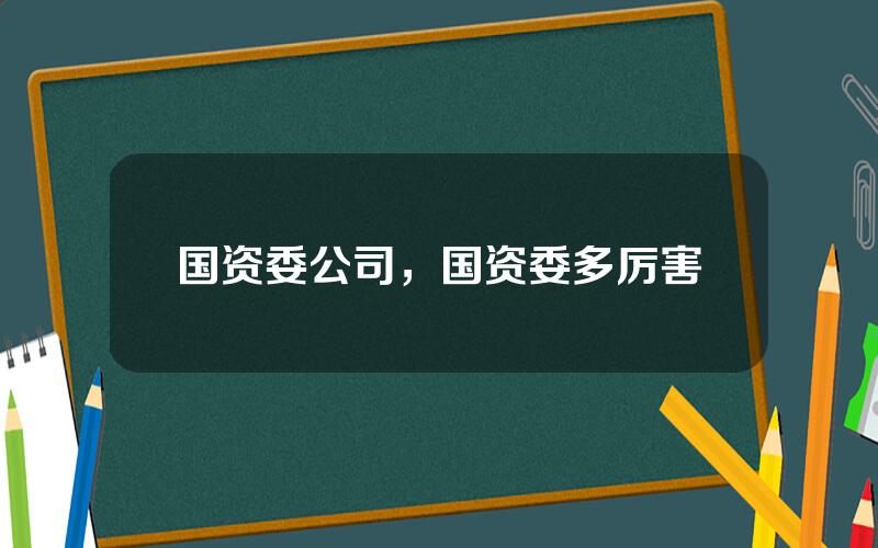 国资委公司，国资委多厉害