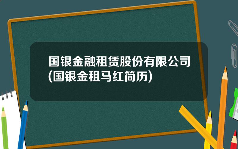 国银金融租赁股份有限公司(国银金租马红简历)