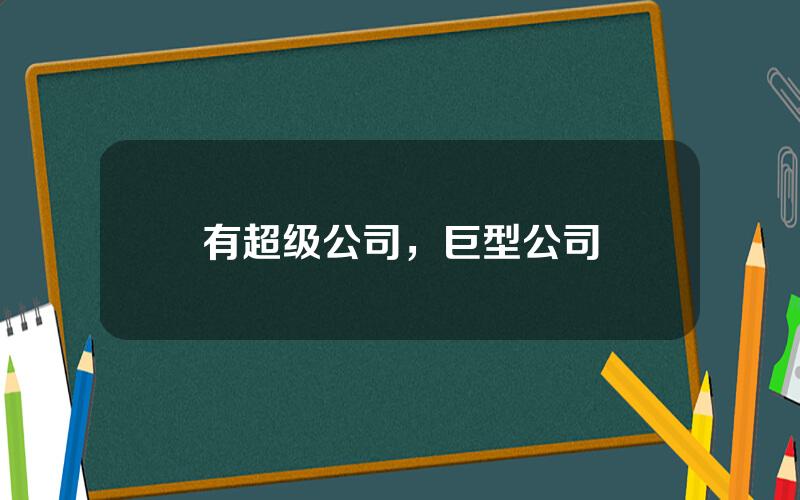 有超级公司，巨型公司